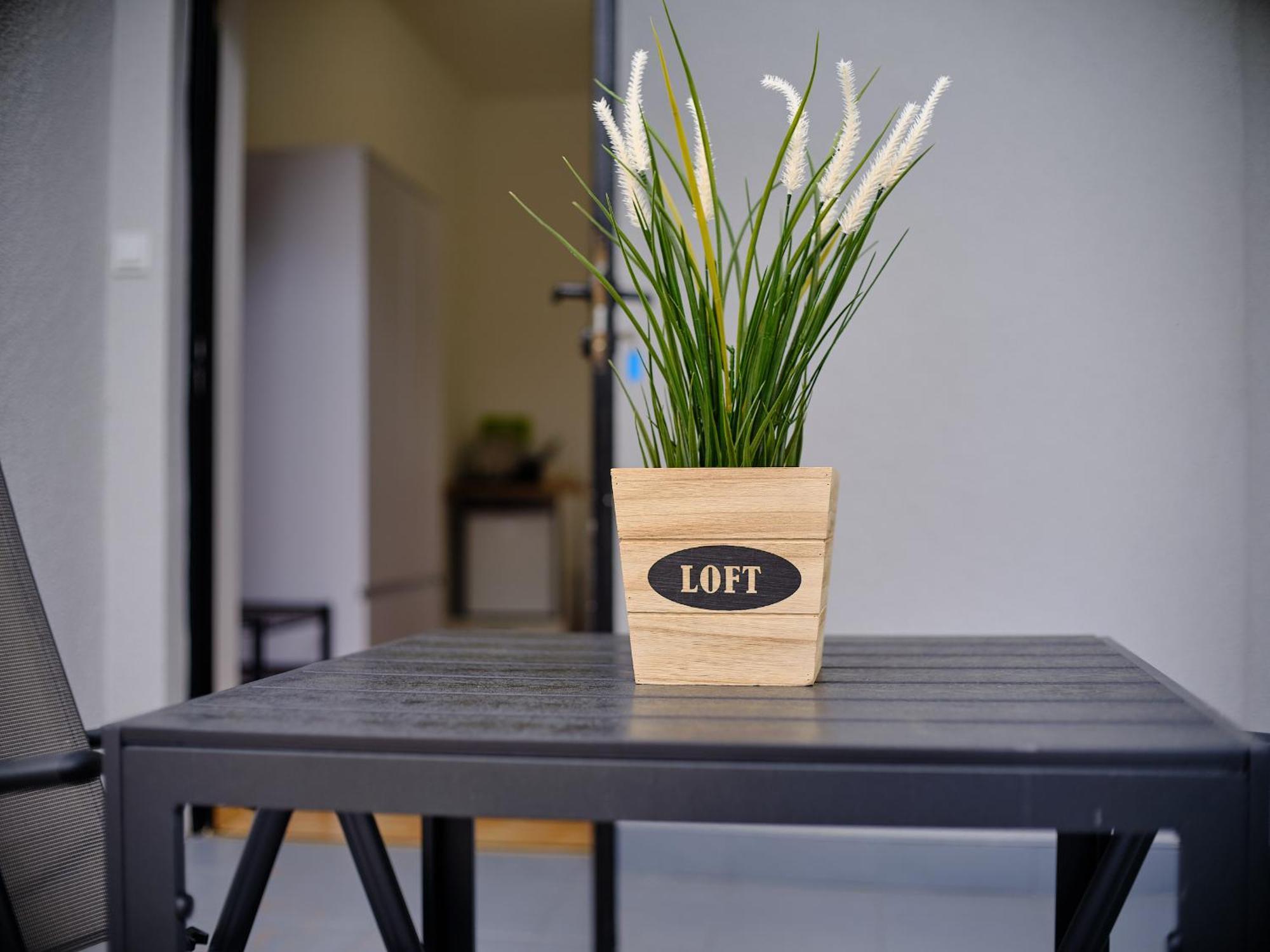 Ii - Loft Apartment Leba